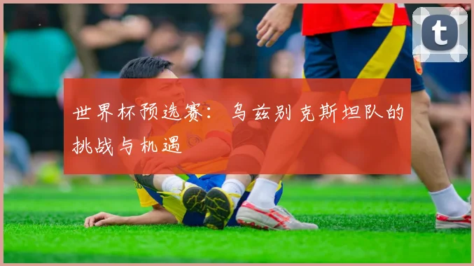 世界杯预选赛:乌兹别克斯坦队的挑战与机遇